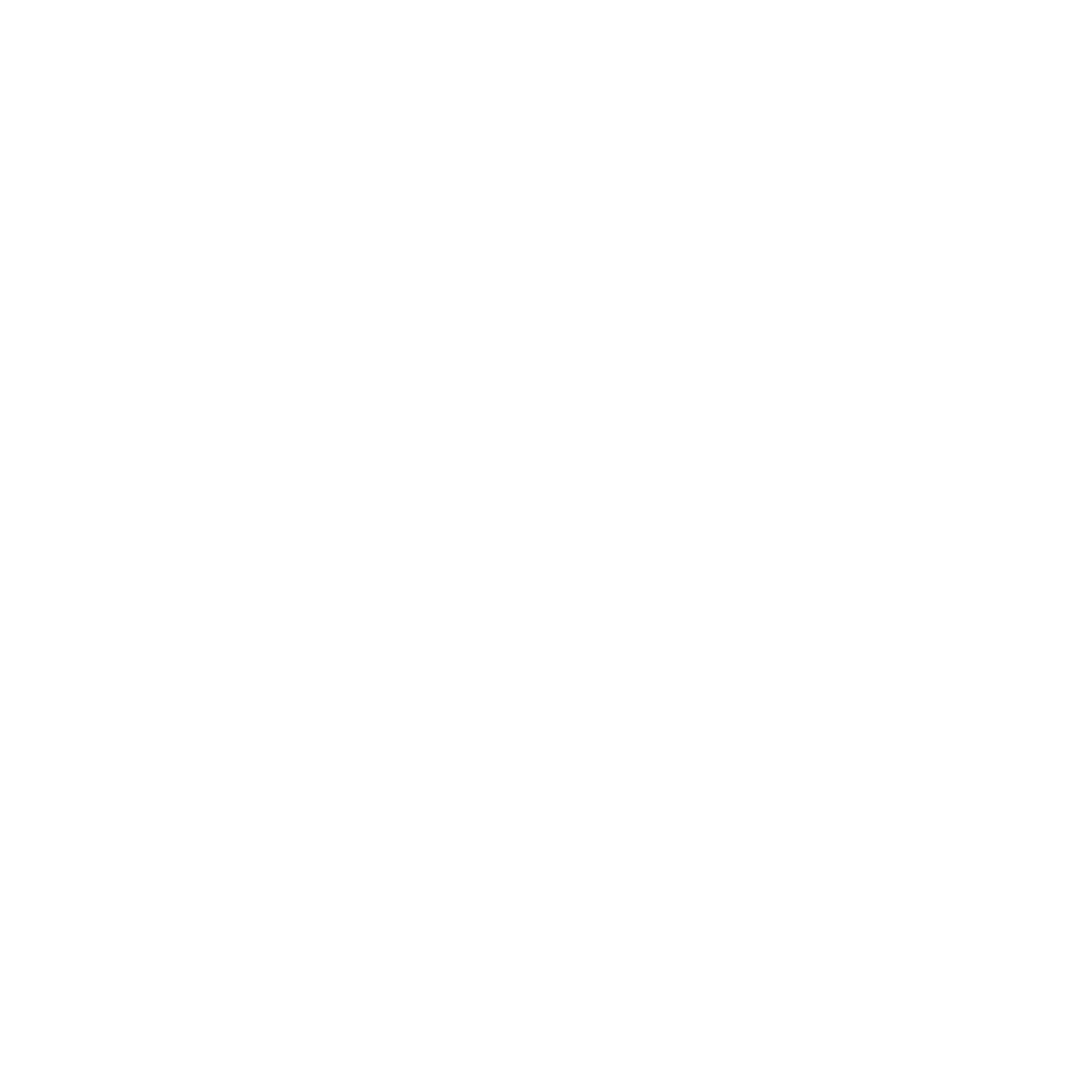 Special Force : 